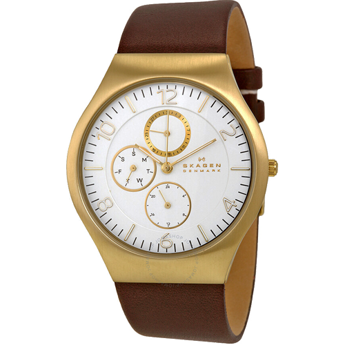 SKAGEN SKW6144